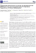 Cover page: Small Proline-Rich Protein 2A and 2D Are Regulated by the RBM38-p73 Axis and Associated with p73-Dependent Suppression of Chronic Inflammation