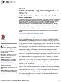 Cover page: A Hox-Embedded Long Noncoding RNA: Is It All Hot Air?