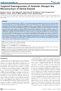 Cover page: Targeted Overexpression of Amelotin Disrupts the Microstructure of Dental Enamel
