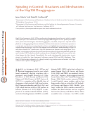 Cover page: Spiraling in Control: Structures and Mechanisms of the Hsp104 Disaggregase