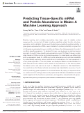 Cover page: Predicting Tissue-Specific mRNA and Protein Abundance in Maize: A Machine Learning Approach