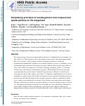 Cover page: Deciphering principles of morphogenesis from temporal and spatial patterns on the integument