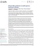 Cover page: Flower-like patterns in multi-species bacterial colonies