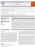 Cover page: Co-delivery of amphipol-conjugated adjuvant with antigen, and adjuvant combinations, enhance immune protection elicited by a membrane protein-based vaccine against a mucosal challenge with Chlamydia