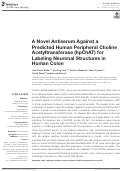 Cover page: A Novel Antiserum Against a Predicted Human Peripheral Choline Acetyltransferase (hpChAT) for Labeling Neuronal Structures in Human Colon