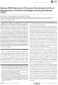 Cover page: Human RNA Polymerase II Promoter Recruitment in Vitro Is Regulated by O-Linked N-Acetylglucosaminyltransferase (OGT)*