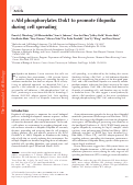 Cover page: c-Abl phosphorylates Dok1 to promote filopodia during cell spreading