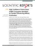 Cover page: High Confidence Fission Yeast SUMO Conjugates Identified by Tandem Denaturing Affinity Purification