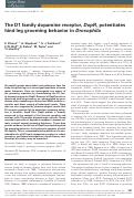 Cover page: The D1 family dopamine receptor, DopR, potentiates hind leg grooming behavior in Drosophila