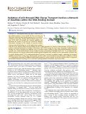 Cover page: Oxidation of p53 through DNA Charge Transport Involves a Network of Disulfides within the DNA-Binding Domain