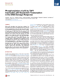 Cover page: Phosphorylation of p53 by TAF1 Inactivates p53-Dependent Transcription in the DNA Damage Response