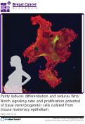 Cover page: Parity induces differentiation and reduces Wnt/Notch signaling ratio and proliferation potential of basal stem/progenitor cells isolated from mouse mammary epithelium