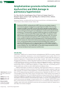 Cover page: Amphetamines promote mitochondrial dysfunction and DNA damage in pulmonary hypertension