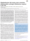 Cover page: Oligodendrocytes that survive acute coronavirus infection induce prolonged inflammatory responses in the CNS.