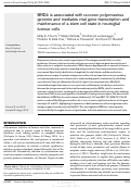 Cover page: BRD4 is associated with raccoon polyomavirus genome and mediates viral gene transcription and maintenance of a stem cell state in neuroglial tumour cells.