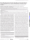 Cover page: Bone Morphogenetic Protein Signaling in Vascular Disease ANTI-INFLAMMATORY ACTION THROUGH MYOCARDIN-RELATED TRANSCRIPTION FACTOR A*