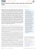 Cover page: BRCA2 chaperones RAD51 to single molecules of RPA-coated ssDNA