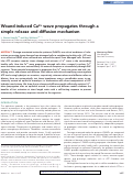 Cover page: Wound-induced Ca2+ wave propagates through a simple release and diffusion mechanism