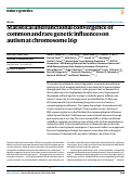 Cover page: Statistical and functional convergence of common and rare genetic influences on autism at chromosome 16p.