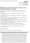 Cover page: Identification of Copy Number Aberrations in Breast Cancer Subtypes Using Persistence Topology