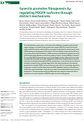 Cover page: Synectin promotes fibrogenesis by regulating PDGFR isoforms through distinct mechanisms