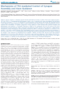 Cover page: Mechanisms of TSC-mediated Control of Synapse Assembly and Axon Guidance