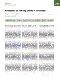 Cover page: Reflections on miR-ing Effects in Metastasis