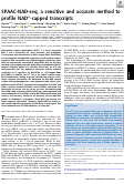 Cover page: SPAAC-NAD-seq, a sensitive and accurate method to profile NAD+-capped transcripts