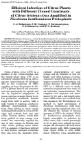 Cover page: Efficient Infection of Citrus Plants with Different Cloned Constructs of Citrus tristeza virus Amplified in Nicotiana benthamiana Protoplasts