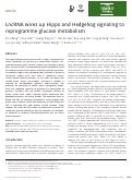 Cover page: LncRNA wires up Hippo and Hedgehog signaling to reprogramme glucose metabolism