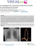 Cover page: A Case Report of a Transected Carotid Artery Caused by a Stab Wound to the Neck