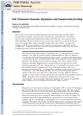 Cover page: K2P Potassium Channels, Mysterious and Paradoxically Exciting