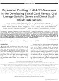 Cover page: Expression profiling of Aldh1l1‐precursors in the developing spinal cord reveals glial lineage‐specific genes and direct Sox9‐Nfe2l1 interactions