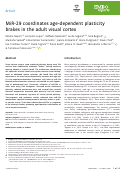 Cover page: MiR‐29 coordinates age‐dependent plasticity brakes in the adult visual cortex