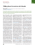 Cover page: TRIMing Neural Connections with Ubiquitin