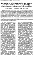 Cover page: Variability of p27 Gene from Several Isolates of Citrus Tristeza Virus as Analyzed by Single-Strand Conformation Polymorphism