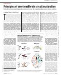 Cover page: Principles of emotional brain circuit maturation