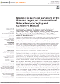 Cover page: Genome Sequencing Variations in the Octodon degus, an Unconventional Natural Model of Aging and Alzheimer's Disease