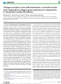 Cover page: Collagen receptor cross-talk determines α-smooth muscle actin-dependent collagen gene expression in angiotensin II–stimulated cardiac fibroblasts