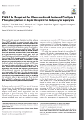 Cover page: Pik3r1 Is Required for Glucocorticoid-Induced Perilipin 1 Phosphorylation in Lipid Droplet for Adipocyte Lipolysis.