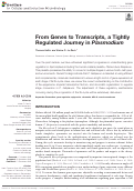 Cover page: From Genes to Transcripts, a Tightly Regulated Journey in Plasmodium.