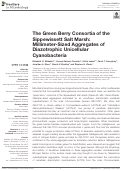 Cover page: The Green Berry Consortia of the Sippewissett Salt Marsh: Millimeter-Sized Aggregates of Diazotrophic Unicellular Cyanobacteria