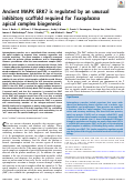 Cover page: Ancient MAPK ERK7 is regulated by an unusual inhibitory scaffold required for Toxoplasma apical complex biogenesis