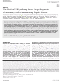 Cover page: The Msi1-mTOR pathway drives the pathogenesis of mammary and extramammary Paget’s disease