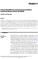 Cover page: Primary MicroRNA Processing Assay Reconstituted Using Recombinant Drosha and DGCR8