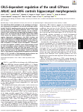 Cover page: CRL5-dependent regulation of the small GTPases ARL4C and ARF6 controls hippocampal morphogenesis