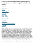 Cover page: Critical biogeochemical functions in the subsurface are associated with bacteria from new phyla and little studied lineages