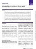 Cover page: DNA Damage Drives an Activin A–Dependent Induction of Cyclooxygenase-2 in Premalignant Cells and Lesions