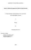 Cover page: Deletion of epidermal caspase-8 as a model for atopic dermatitis