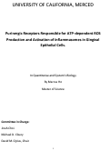 Cover page: Purinergic receptors responsible for ATP-dependent ROS production and activation of inflammasomes in gingival epithelial cells